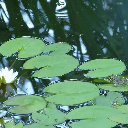 Harmonia Gasthuis 3*