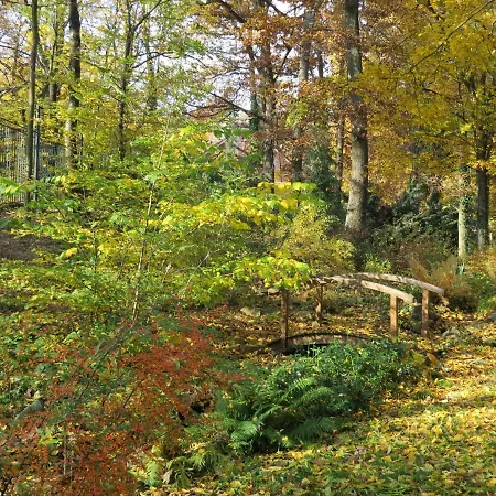 Harmonia 招待所 3*